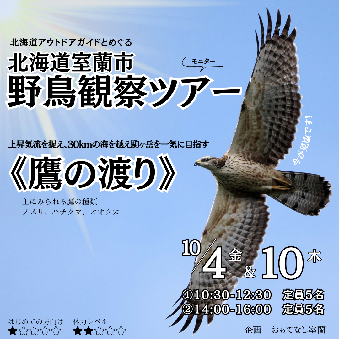 北海道室蘭市 野鳥観察ツアー《鷹の渡り》